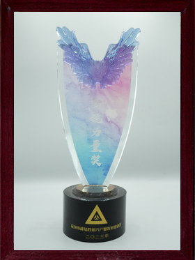 深圳市戰(zhàn)略性新興產業(yè)發(fā)展促進會新銳力量獎