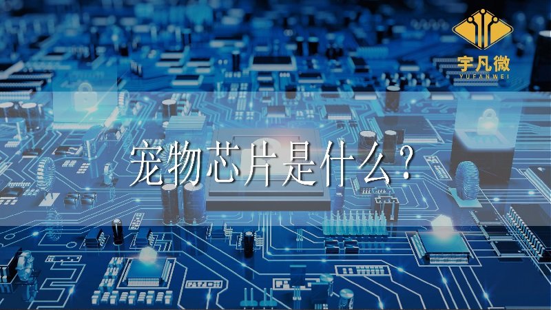 寵物芯片是什么